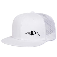 As shown 1