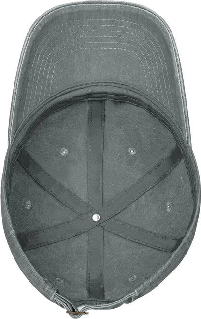 Niagara Falls Graphic Distressed Denim Baseball Cap