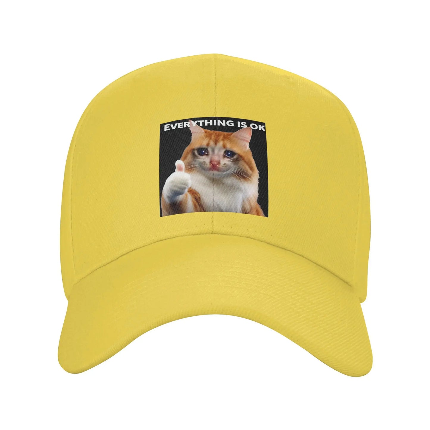 Everythings Ok Crying Cat Meme Baseball Cap