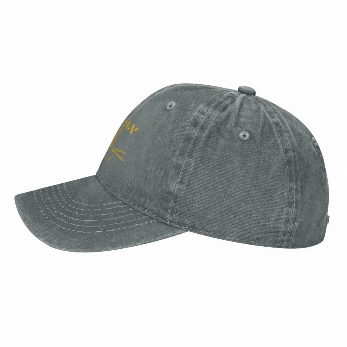 1st Air Cavalry Division Veteran Baseball Cap