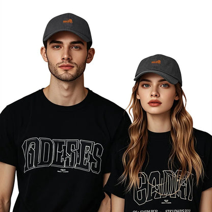 Aquarius Boards Of Canada Classic Essential Baseball Cap