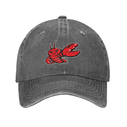 OpenClaws 2026 Hip Hop Skate Snapback Baseball Cap