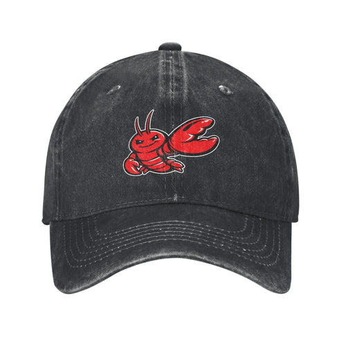 OpenClaws 2026 Hip Hop Skate Snapback Baseball Cap