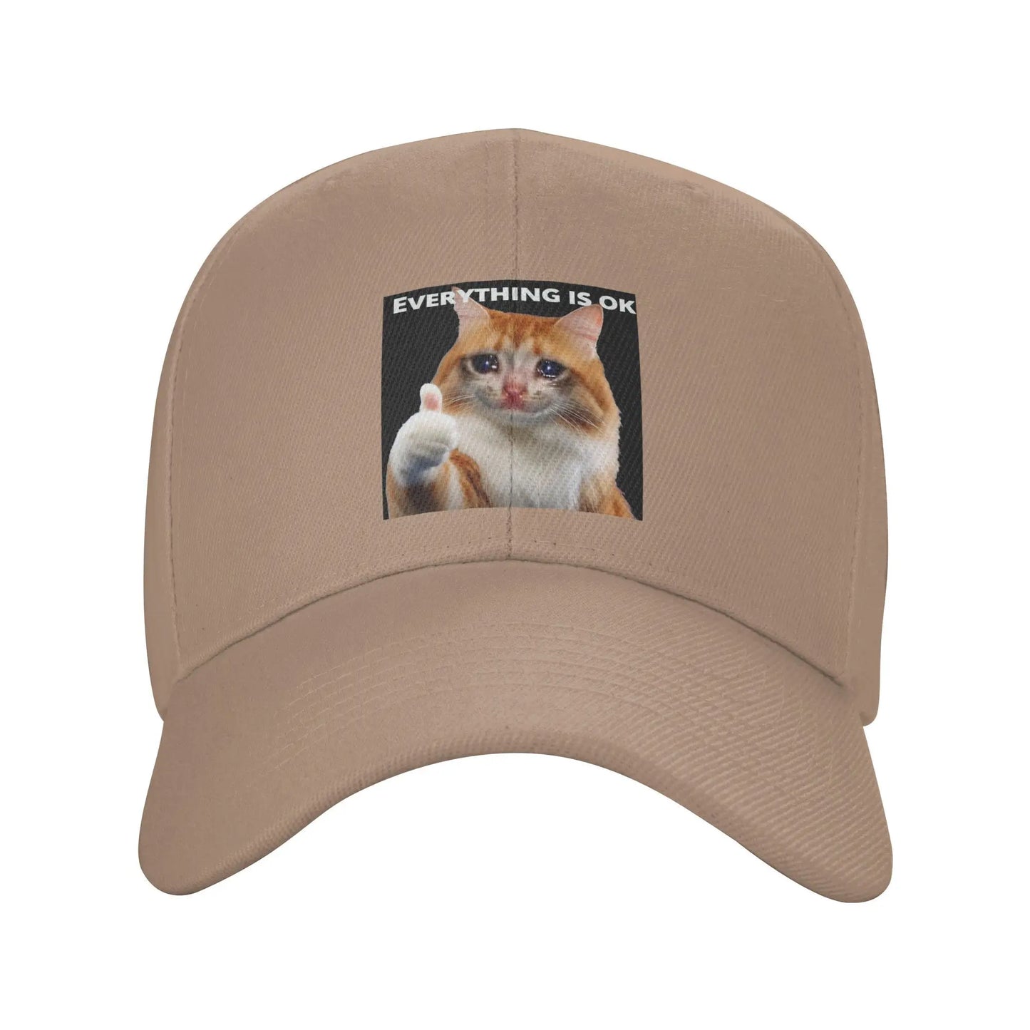 Everythings Ok Crying Cat Meme Baseball Cap