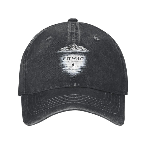 Vintage Distressed Penguin "But Why" Baseball Cap