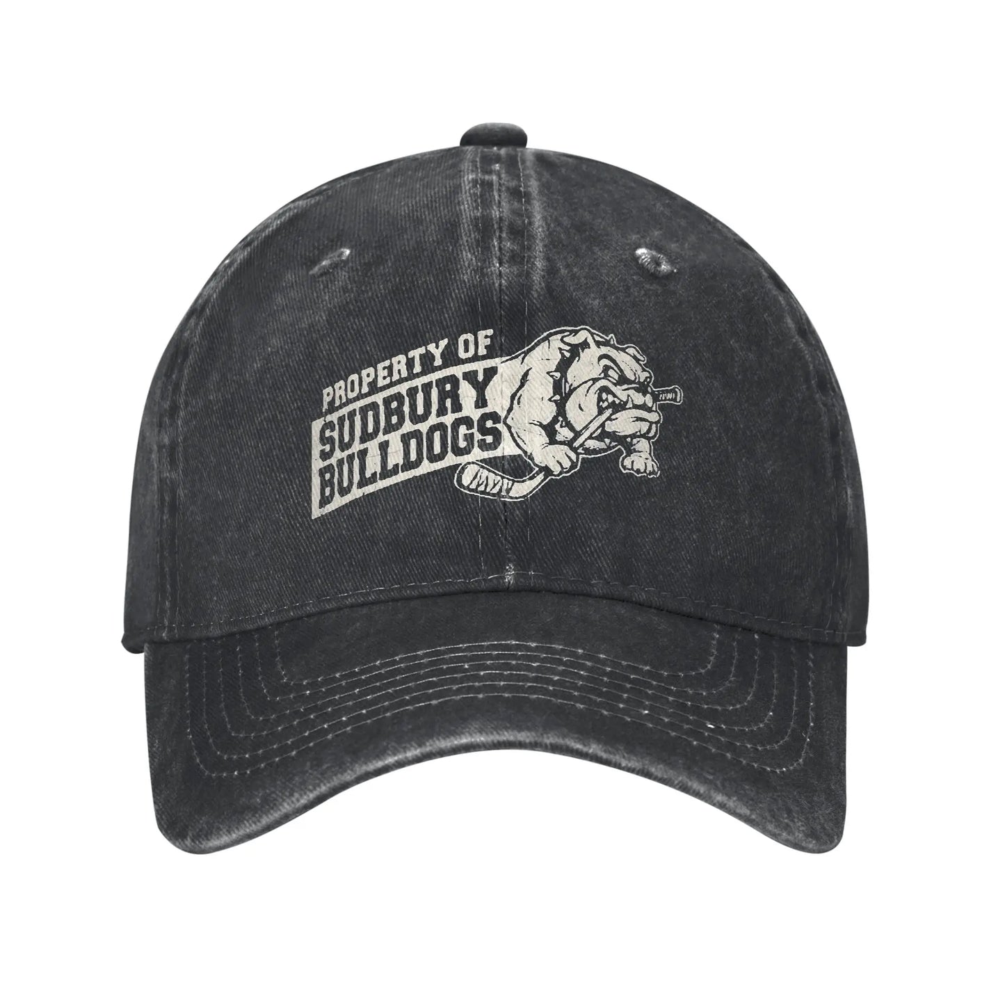 Sudbury Blueberry Bulldogs Trendy Trucker Baseball Cap