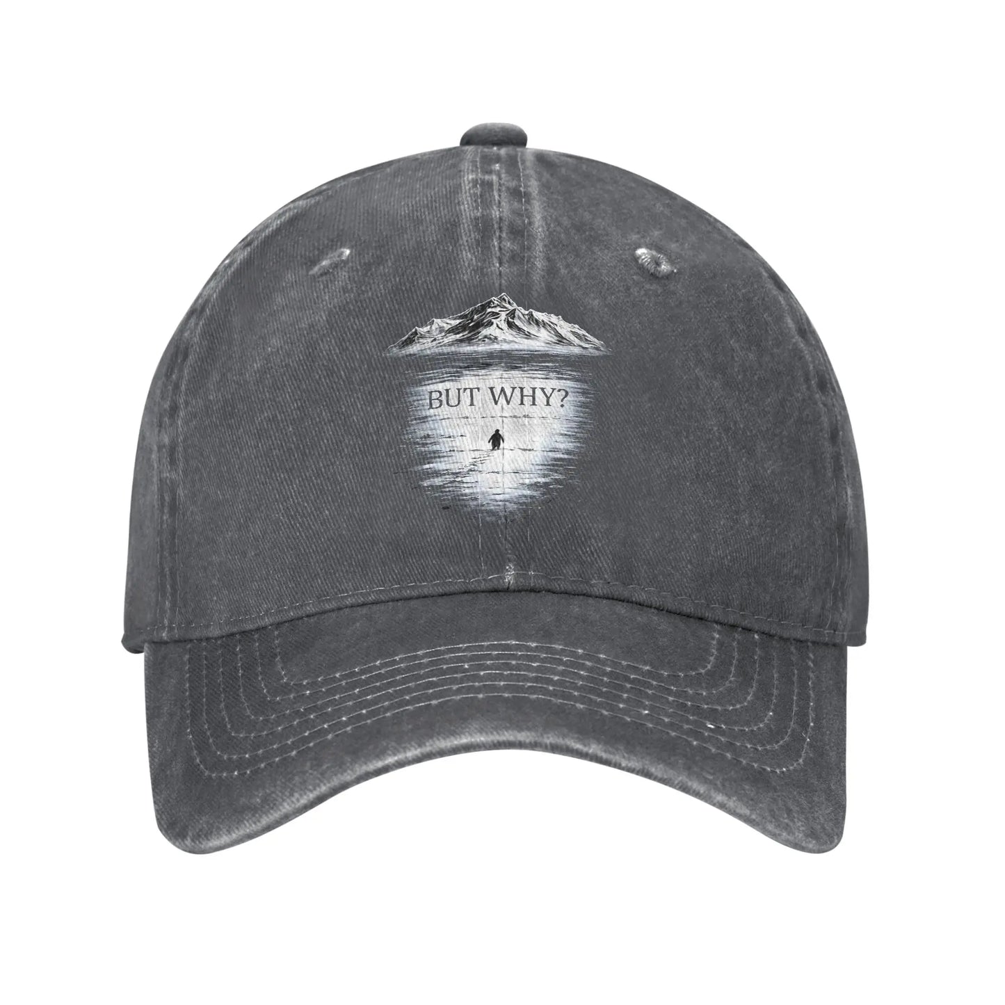 Vintage Distressed Penguin "But Why" Baseball Cap
