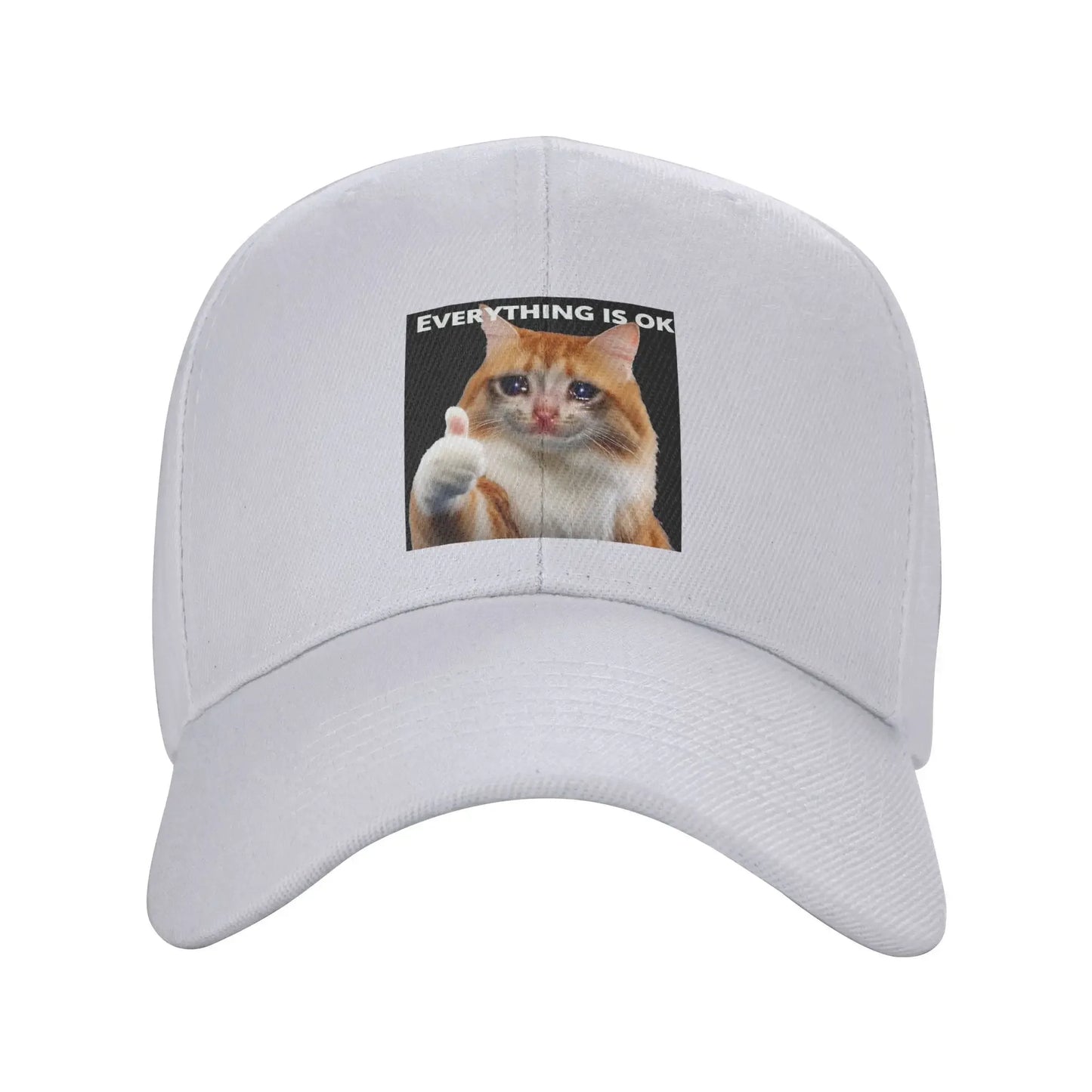 Everythings Ok Crying Cat Meme Baseball Cap