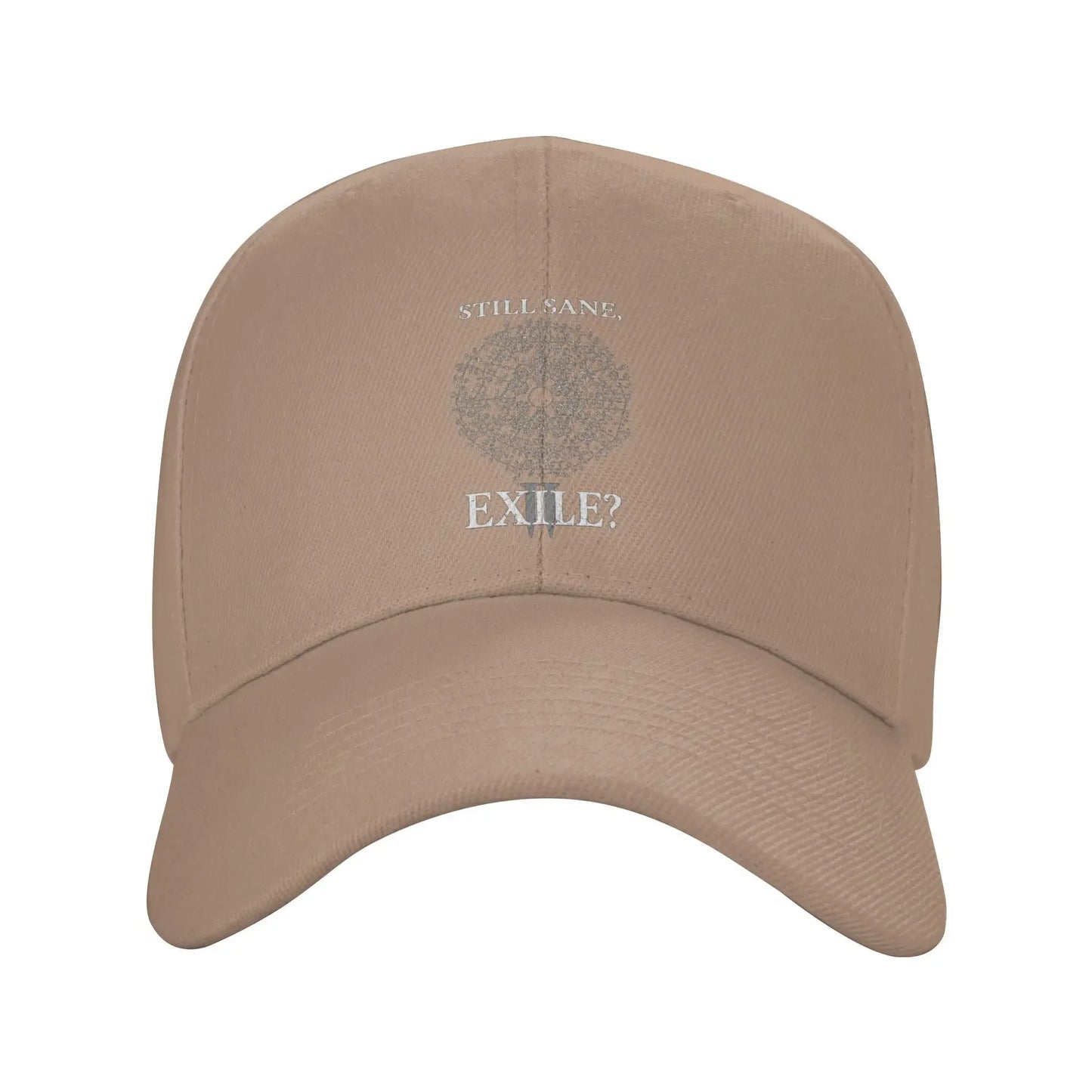 Path Of Exile 2 Streetwear Baseball Cap