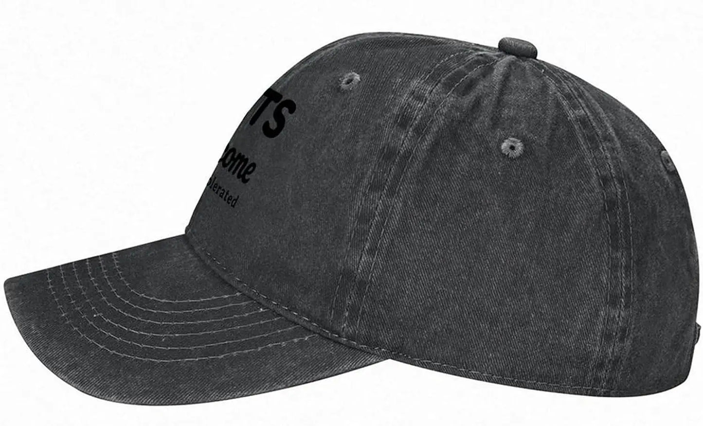 Cats Welcome People Tolerated Funny Cat Lover Baseball Cap
