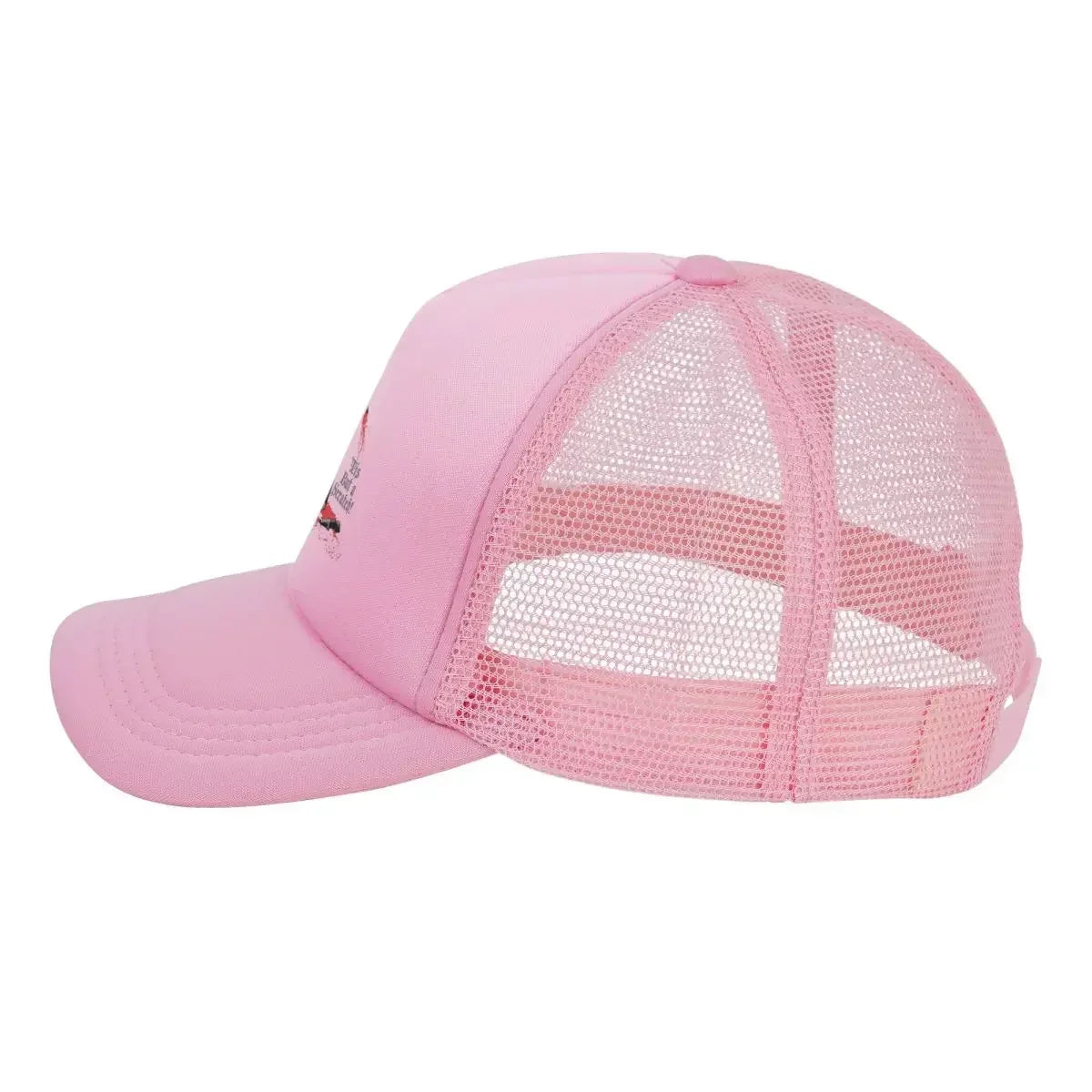 Tis But A Scratch Mesh Snapback Baseball Cap
