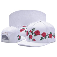 As shown 2
