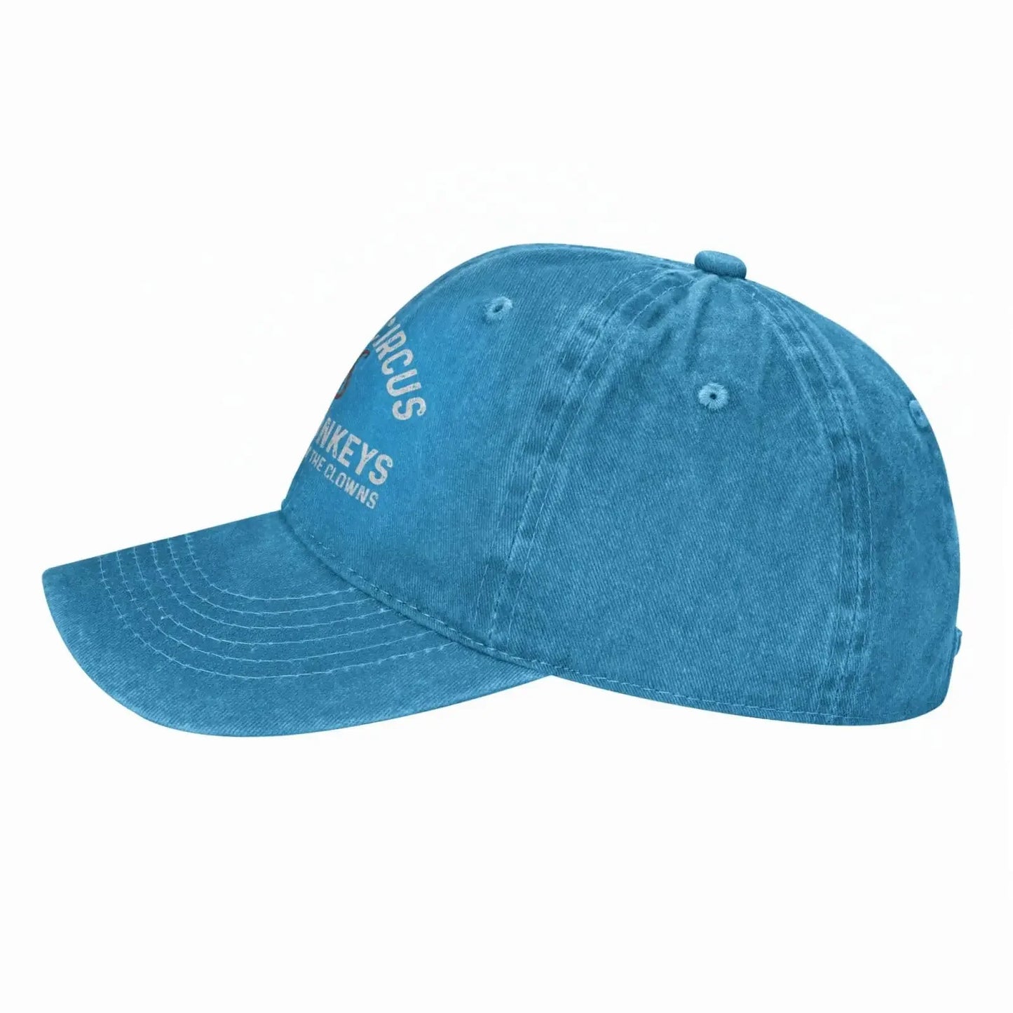 Not My Circus Vintage Dad Baseball Cap