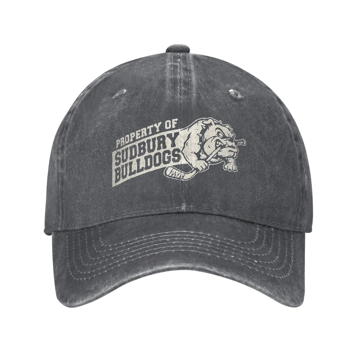 Sudbury Blueberry Bulldogs Trendy Trucker Baseball Cap