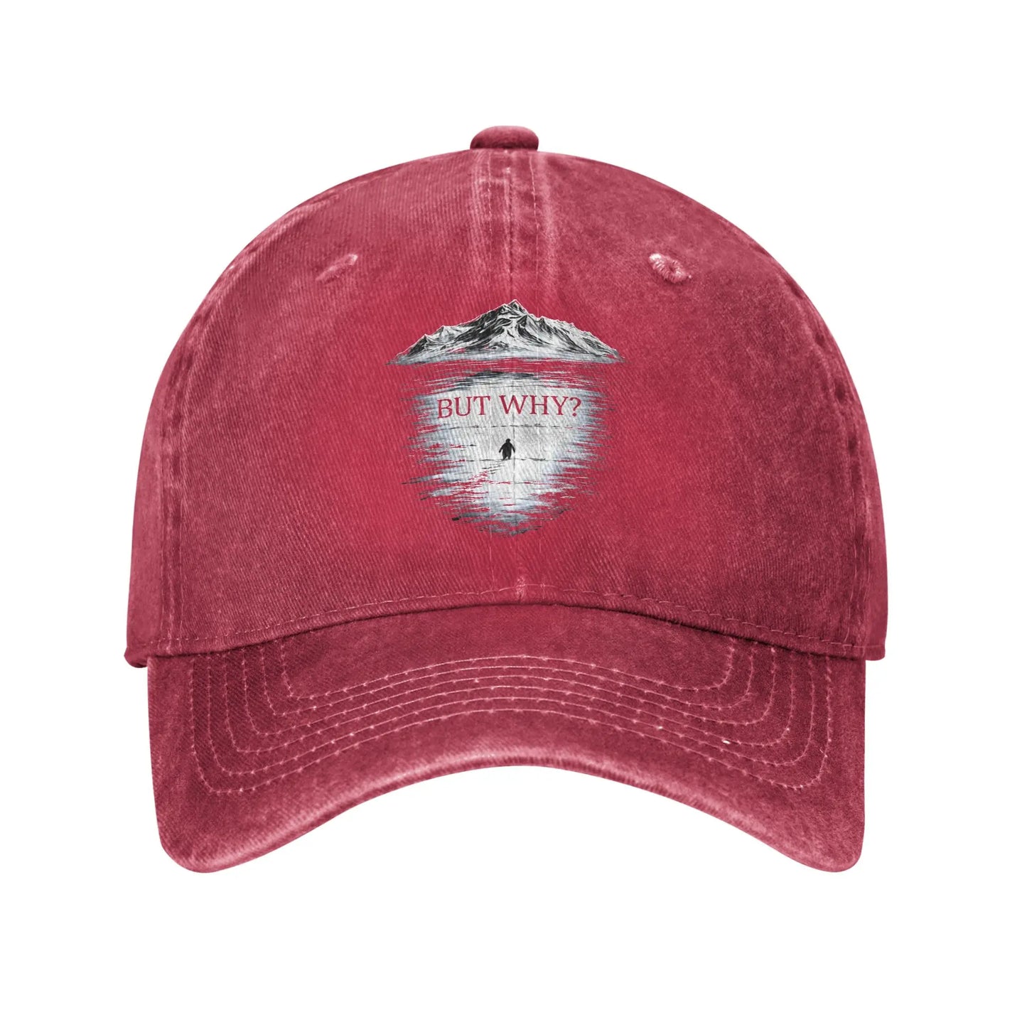 Vintage Distressed Penguin "But Why" Baseball Cap