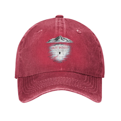 Vintage Distressed Penguin "But Why" Baseball Cap