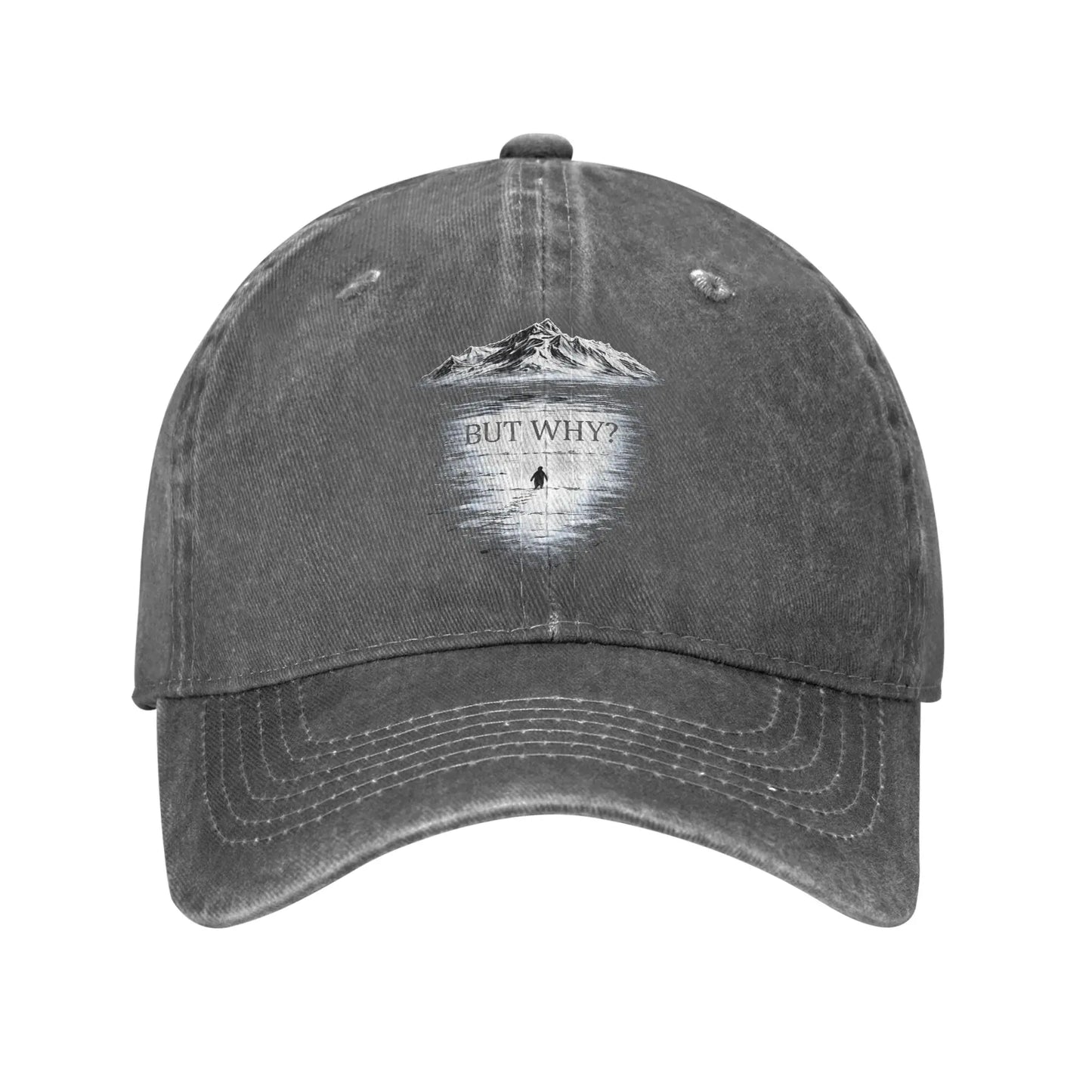 Vintage Distressed Penguin "But Why" Baseball Cap